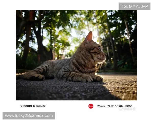 高动态范围成像技术克服逆光拍摄细节丢失